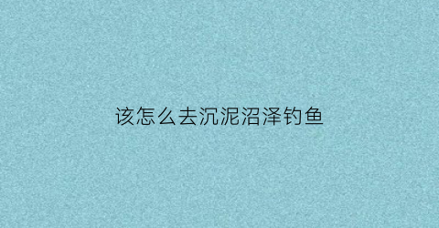 该怎么去沉泥沼泽钓鱼(沉泥沼泽鱼人)