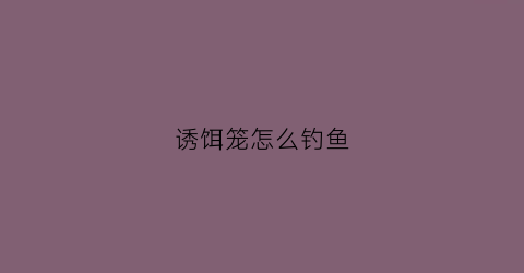 诱饵笼怎么钓鱼(诱饵笼怎么钓鱼效果好)