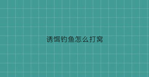 诱饵钓鱼怎么打窝(诱饵钓鱼怎么打窝视频)