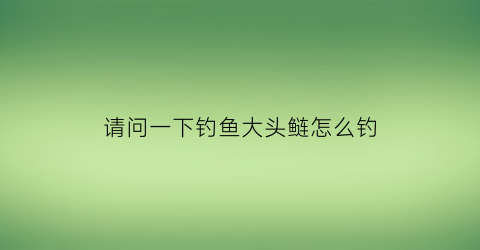 “请问一下钓鱼大头鲢怎么钓(大头鲢鱼的钓法)