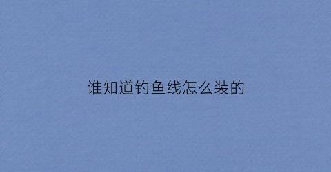 谁知道钓鱼线怎么装的(钓鱼线教程)