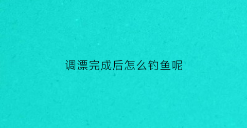 “调漂完成后怎么钓鱼呢(调漂完成后怎么钓鱼呢视频教程)