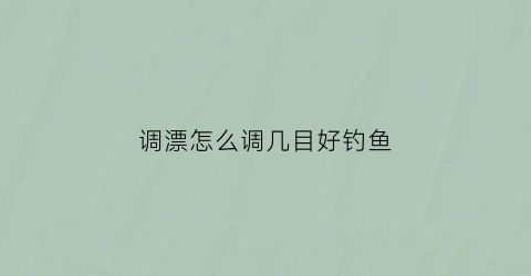 调漂怎么调几目好钓鱼(调漂调几目钓几目最灵)