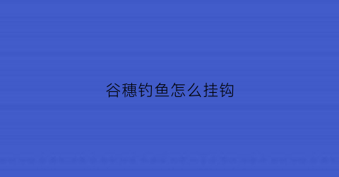 “谷穗钓鱼怎么挂钩(谷穗钓鱼怎么挂钩视频)