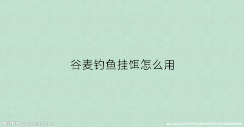 谷麦钓鱼挂饵怎么用(谷麦钓如何挂饵)