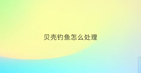 贝壳钓鱼怎么处理