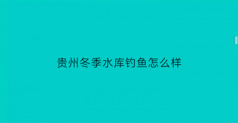 “贵州冬季水库钓鱼怎么样(贵州冬季水库钓鱼怎么样啊)