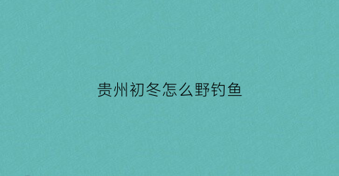 贵州初冬怎么野钓鱼(贵州野钓用什么饵料)