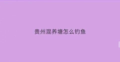 贵州混养塘怎么钓鱼(贵州混养塘怎么钓鱼视频)