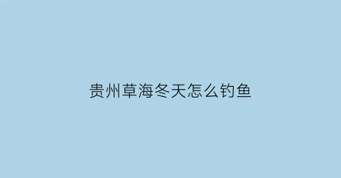 贵州草海冬天怎么钓鱼(贵州草海门票多少钱)