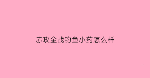 赤攻金战钓鱼小药怎么样