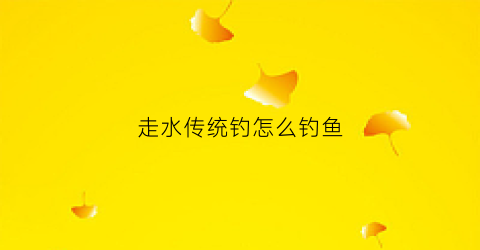 走水传统钓怎么钓鱼(走水钓鱼视频教程)