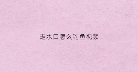 走水口怎么钓鱼视频(走水钓鱼怎么钓)