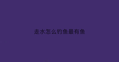 走水怎么钓鱼最有鱼(走水如何钓鱼鱼才上钩)