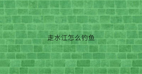 走水江怎么钓鱼(走水河怎么钓鲤鱼)