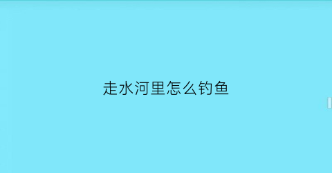 走水河里怎么钓鱼(走水的河怎么钓)