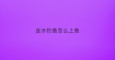 走水钓鱼怎么上鱼(走水钓鱼怎么上鱼好)