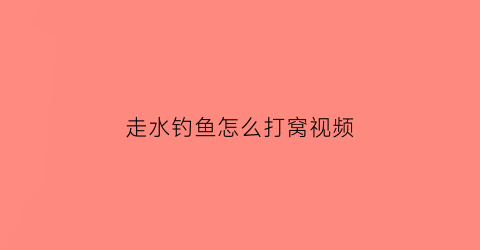 走水钓鱼怎么打窝视频(走水钓鱼怎么打窝视频教学)