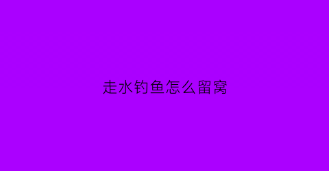 走水钓鱼怎么留窝
