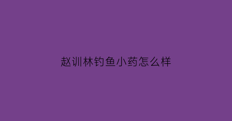 赵训林钓鱼小药怎么样