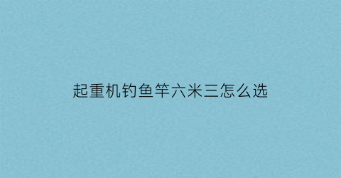 “起重机钓鱼竿六米三怎么选(6米3的竿重心在多少)