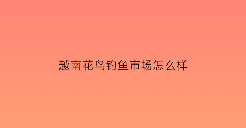 “越南花鸟钓鱼市场怎么样(越南渔具店)