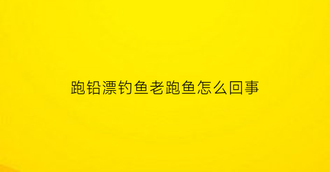 跑铅漂钓鱼老跑鱼怎么回事
