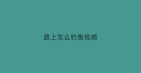 路上怎么钓鱼视频(路野钓的方法)