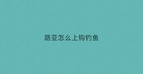 路亚怎么上钩钓鱼(路亚怎么上鱼钩和吊坠)