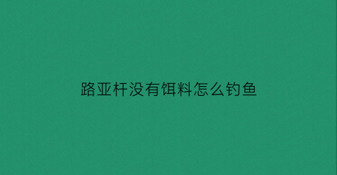 路亚杆没有饵料怎么钓鱼(路亚杆没有饵料怎么钓鱼呢)