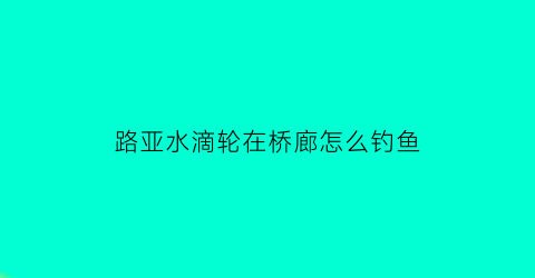 路亚水滴轮在桥廊怎么钓鱼(桥钓水滴轮新手教学视频)