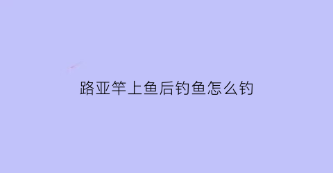 “路亚竿上鱼后钓鱼怎么钓(路亚钓完后怎么把线收拾好)