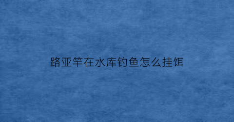 路亚竿在水库钓鱼怎么挂饵(路亚在水库钓鱼用什么饵)