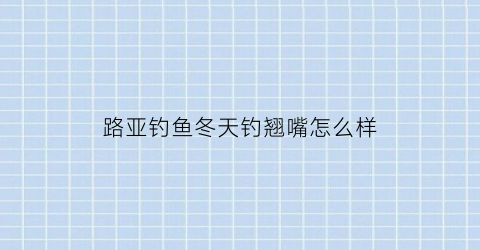 路亚钓鱼冬天钓翘嘴怎么样(冬天路亚钓翘嘴好钓吗)