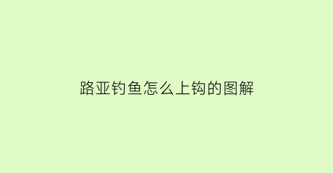 路亚钓鱼怎么上钩的图解(路亚如何上饵)