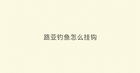 路亚钓鱼怎么挂钩(路亚钩怎么挂饵)