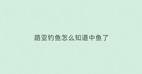 “路亚钓鱼怎么知道中鱼了(路亚怎么知道鱼上钩了)