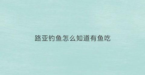 路亚钓鱼怎么知道有鱼吃(路亚怎么知道鱼上钩了)