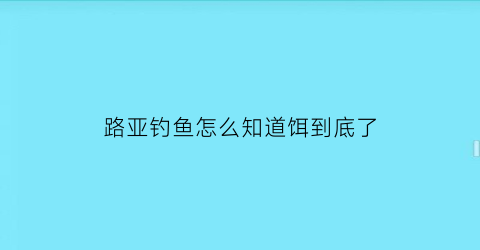 “路亚钓鱼怎么知道饵到底了(路亚怎么知道饵在什么水层)