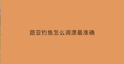 “路亚钓鱼怎么调漂最准确(路亚怎么调漂视频)