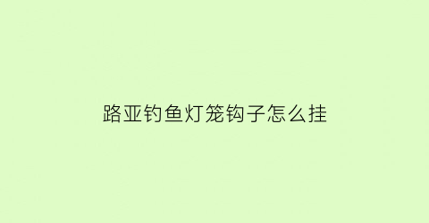 路亚钓鱼灯笼钩子怎么挂(路亚夜钓灯)