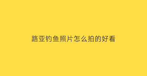 路亚钓鱼照片怎么拍的好看(路亚钓鱼图片手机壁纸)
