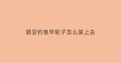 路亚钓鱼竿轮子怎么装上去(路亚杆轮子怎么用)