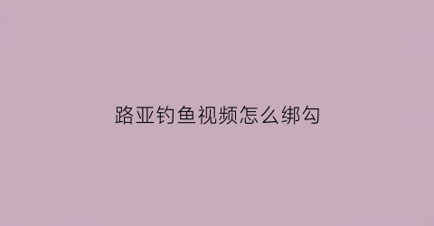 路亚钓鱼视频怎么绑勾(路亚怎么绑钩子)