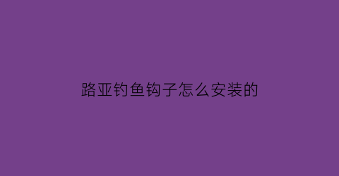 路亚钓鱼钩子怎么安装的