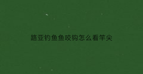 路亚钓鱼鱼咬钩怎么看竿尖(路亚如何判断咬口)