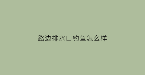 “路边排水口钓鱼怎么样(路边排水口钓鱼怎么样好用吗)