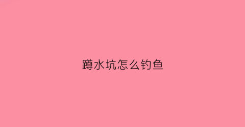 蹲水坑怎么钓鱼(蹲坑怎么出水)