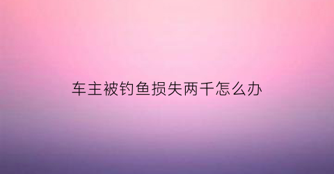 车主被钓鱼损失两千怎么办(车主被钓鱼损失两千怎么办呢)