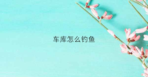 车库怎么钓鱼(车库的鱼)